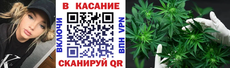 Все наркотики Брянск Конопля  Псилоцибиновые грибы  NBOMe  МЕФ  Гашиш 