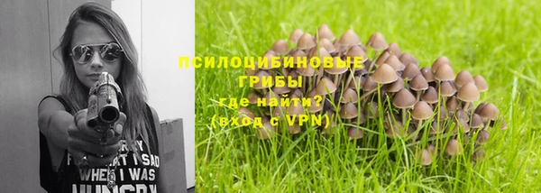 амф Алексин