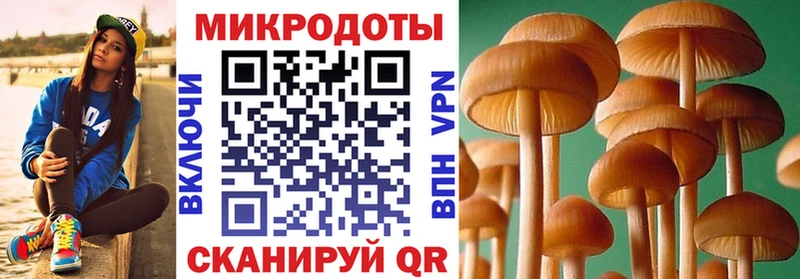 маркетплейс телеграм  hydra зеркало  Брянск  Галлюциногенные грибы прущие грибы 