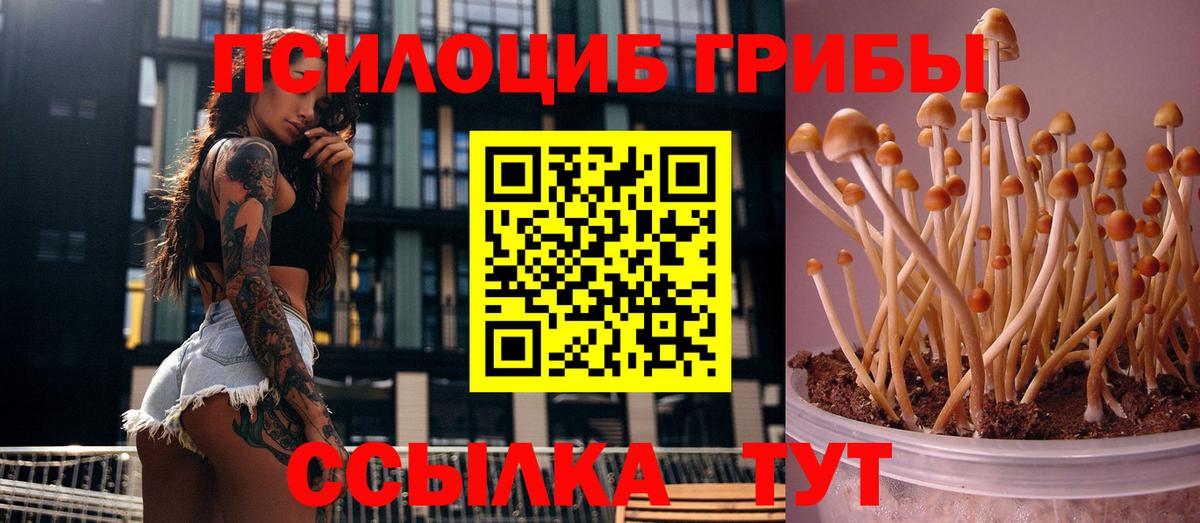 Галлюциногенные грибы мухоморы  Вход с VPN  Брянск  Галлюциногенные грибы мухоморы 