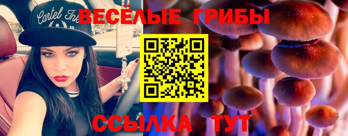 Галлюциногенные грибы мицелий Брянск