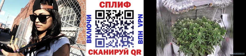 ОМГ ОМГ как войти  купить наркотик  Брянск  Каннабис план 